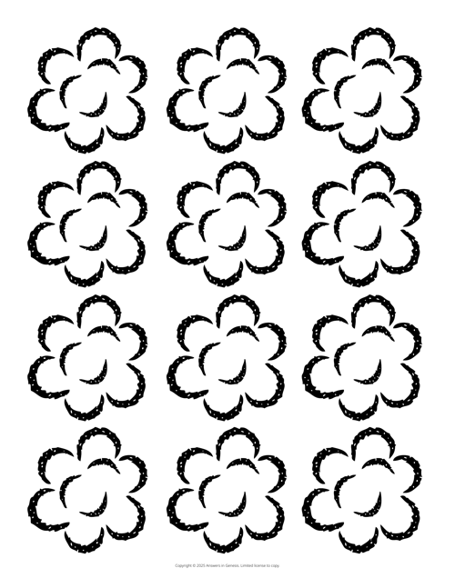 Sheep Tail Cutouts