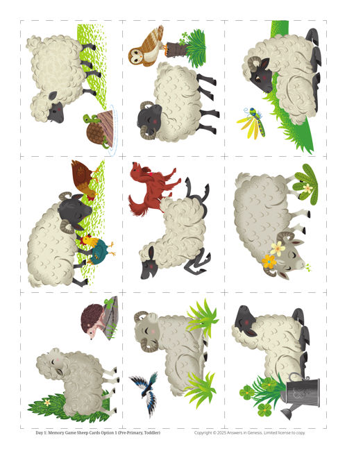 Day 1 Memory Game Sheep Cards