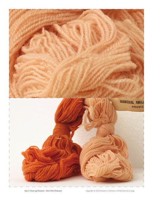 Day 3 Close Up Pictures