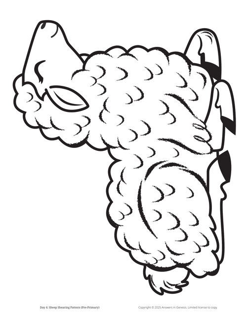 Day 4 Sheep Shearing Pattern