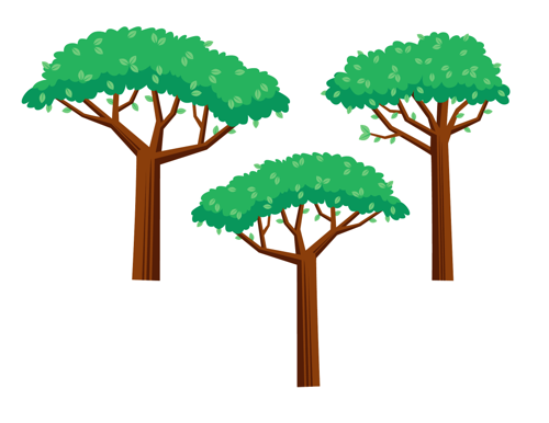 Trees