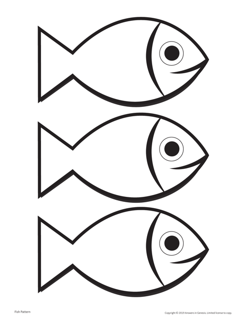 Fish Pattern