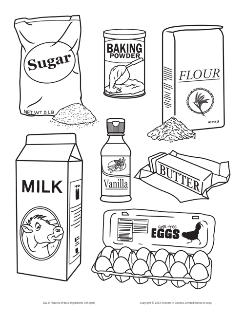 Day 3 Pictures Of Basic Ingredients