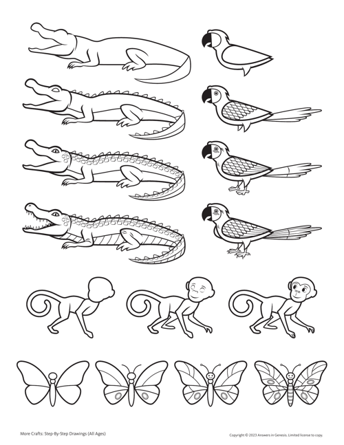 Science Patterns