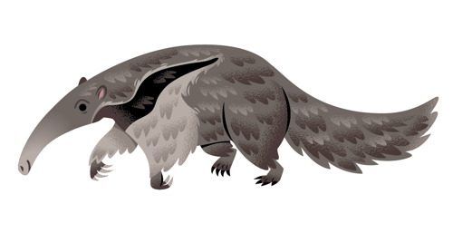 Anteater