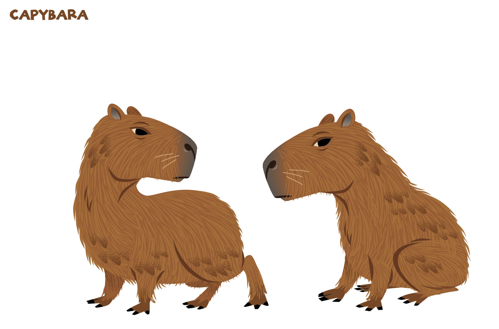 Capybara