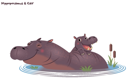 Hippo And Calf