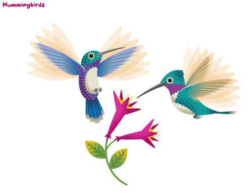 Hummingbird