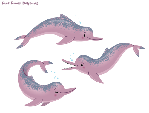 Pink Dolphin