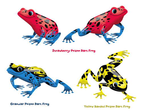 Poison Dart Frogs