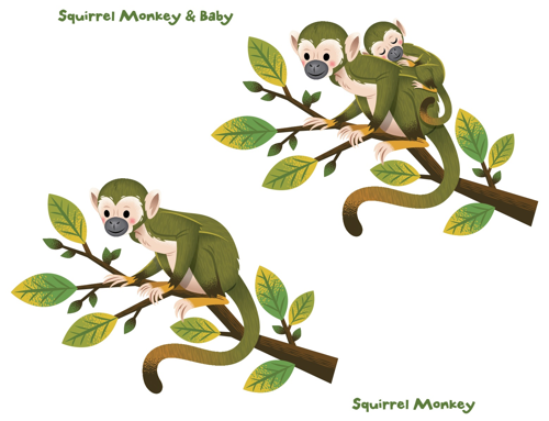 Squirrel Monkey 2