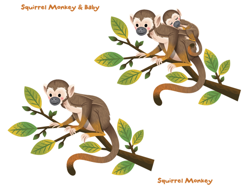 Squirrel Monkey