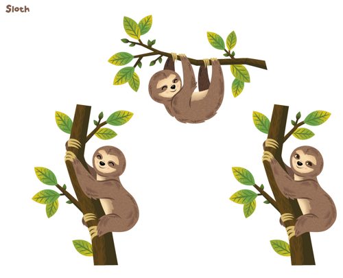 Set Sloth