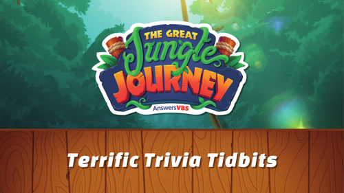 Trivia Slides