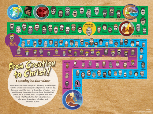 Creation to Christ Timeline