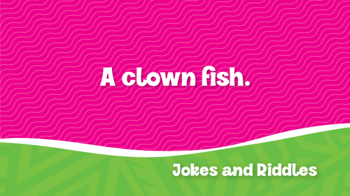  Mivbs Jokesandriddles12