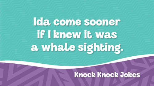  Mivbs Knockknockjokes12