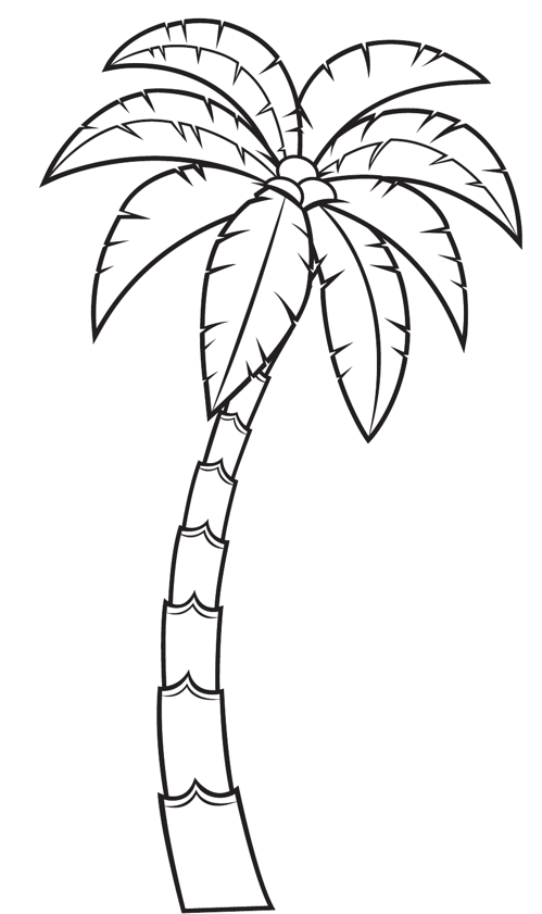 Coconut Tree