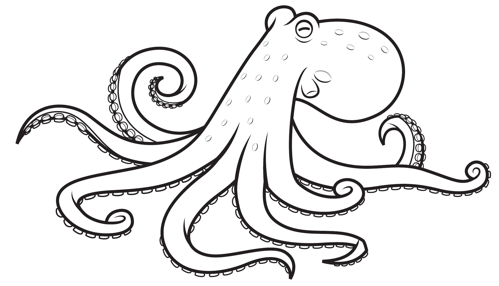 Octopus