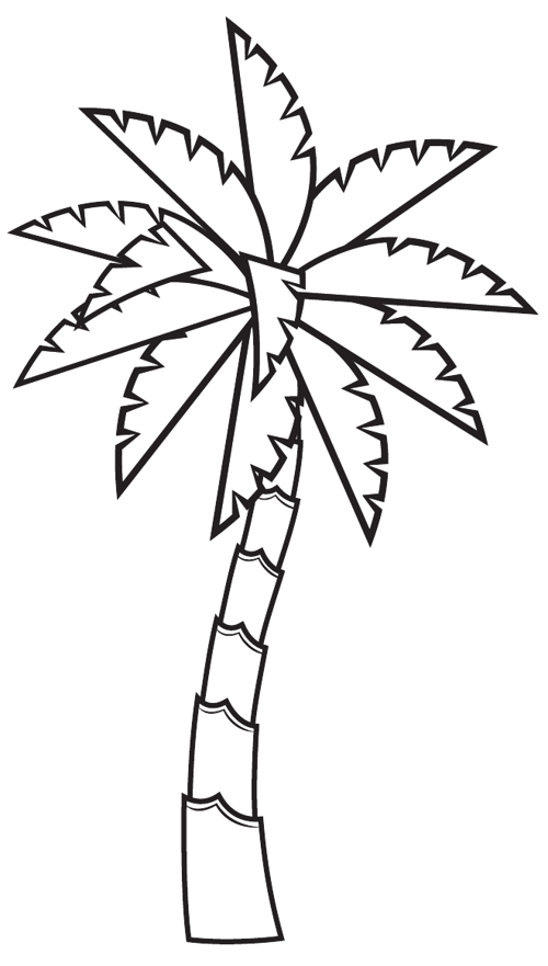 Palm Tree