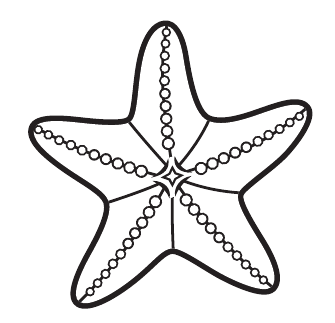 Shell Starfish 2