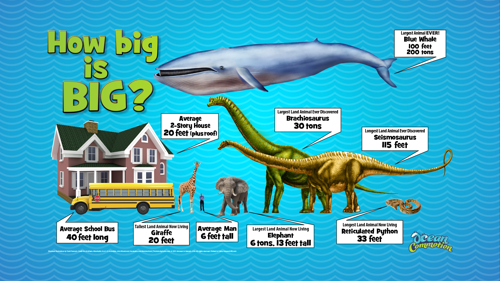 Ocvbsslide Creaturefeature Day1 Slide2 Animalsizecomparison
