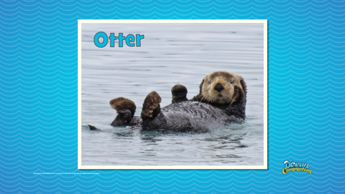 Ocvbsslide Creaturefeature Day4 Slide2 Otteronback