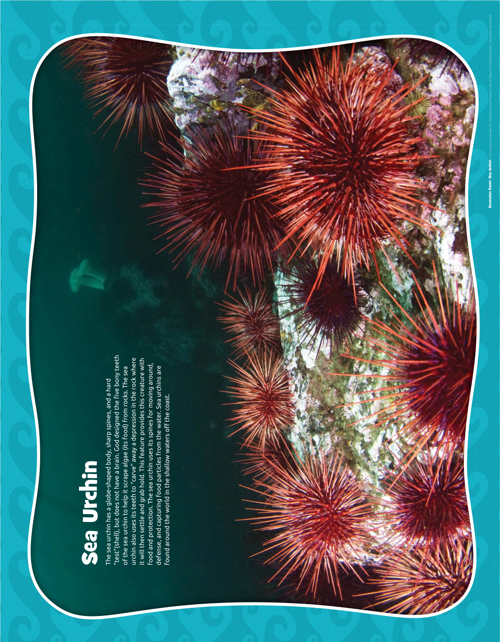 Decoration Posters