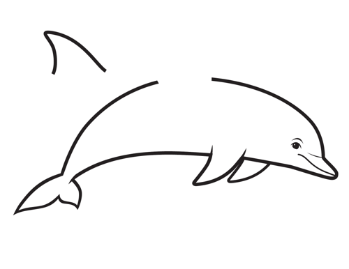 Dolphin And Fin Pattern