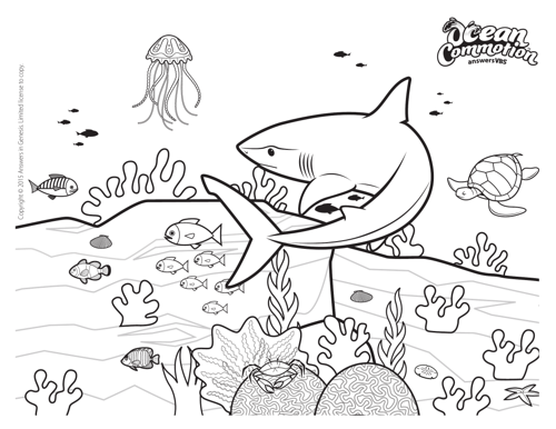 Coloring Pages