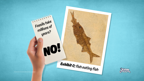 Ocvbsslide Teaching Fisheatingfish