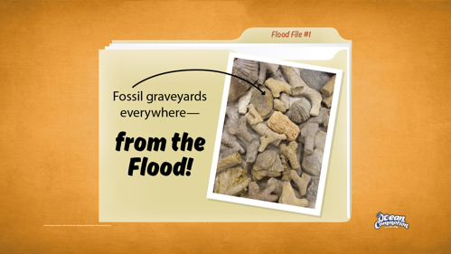 Ocvbsslide Teaching Floodfile1Fossilgraveyard
