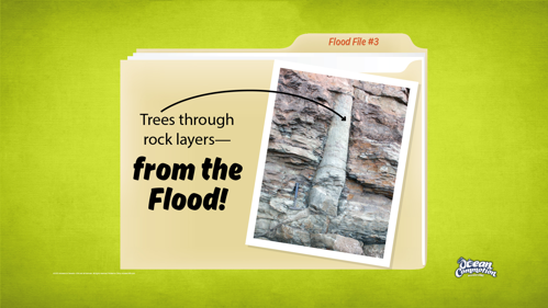 Ocvbsslide Teaching Floodfile3Treesrocklayers