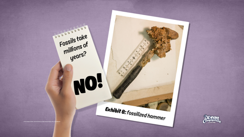 Ocvbsslide Teaching Fossilizedhammer