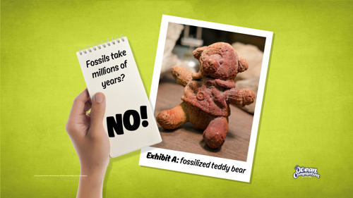 Ocvbsslide Teaching Fossilizedteddybear