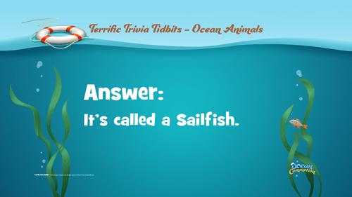 Ocvbsslide Terrifictriviatidbits 51