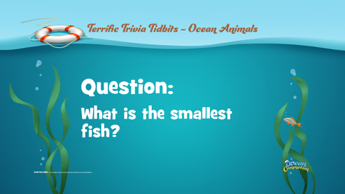 Ocvbsslide Terrifictriviatidbits 52