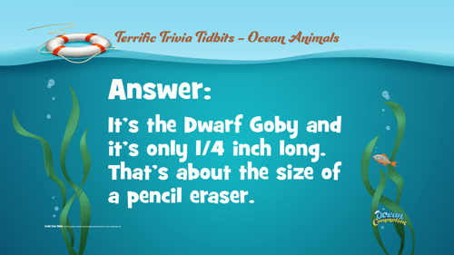 Ocvbsslide Terrifictriviatidbits 53