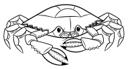 Blue Crab