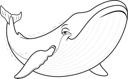 Blue Whale Hydro