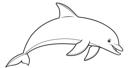 Dolphin 1