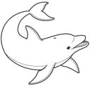 Dolphin 2