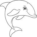 Dolphin Fin