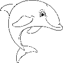 Dolphin Fin