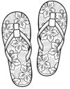 Flip Flops
