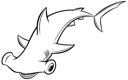 Hammerhead Shark