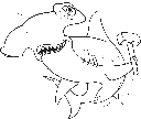Hammerhead Shark Hammer