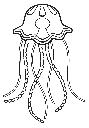 Jellyfish 2