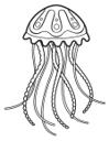 Jellyfish 3
