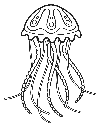 Jellyfish 3